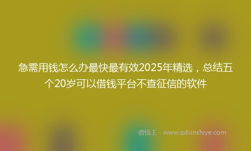 急需用钱怎么办最快最有效2025年精选，总结五个20岁可以借钱平台不查征信的软件