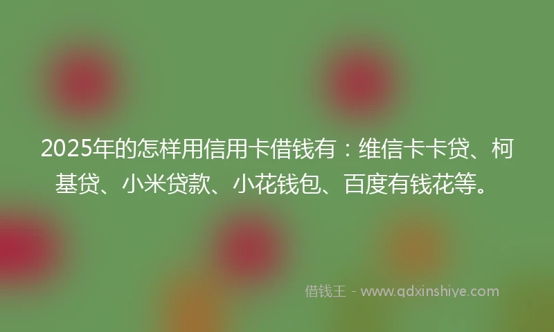 2025年的怎样用信用卡借钱有：维信卡卡贷、柯基贷、小米贷款、小花钱包、百度有钱花等。