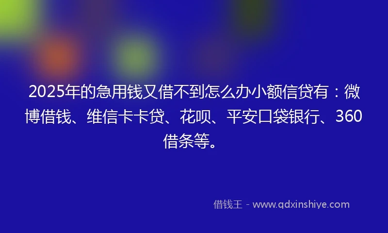 2025年的急用钱又借不到怎么办小额信贷有：微博借钱、维信卡卡贷、花呗、平安口袋银行、360借条等。