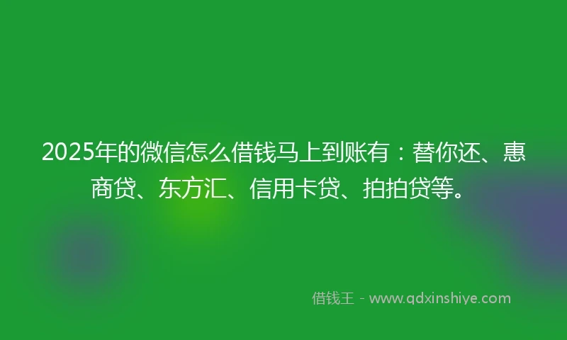 2025年的微信怎么借钱马上到账有:替你还、惠商贷、东方汇、信用卡贷、拍拍贷等。