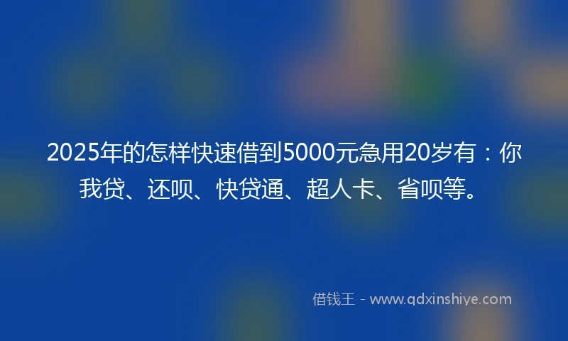 2025年的怎样快速借到5000元急用20岁有：你我贷、还呗、快贷通、超人卡、省呗等。