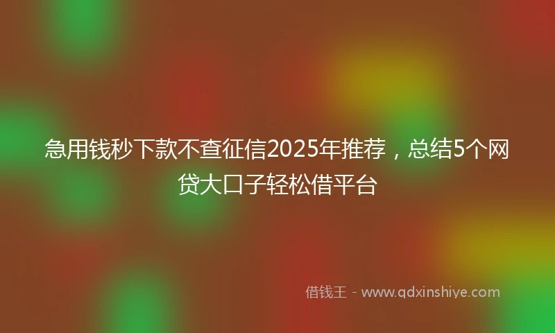 急用钱秒下款不查征信2025年推荐，总结5个网贷大口子轻松借平台