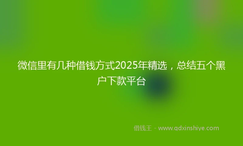 微信里有几种借钱方式2025年精选，总结五个黑户下款平台