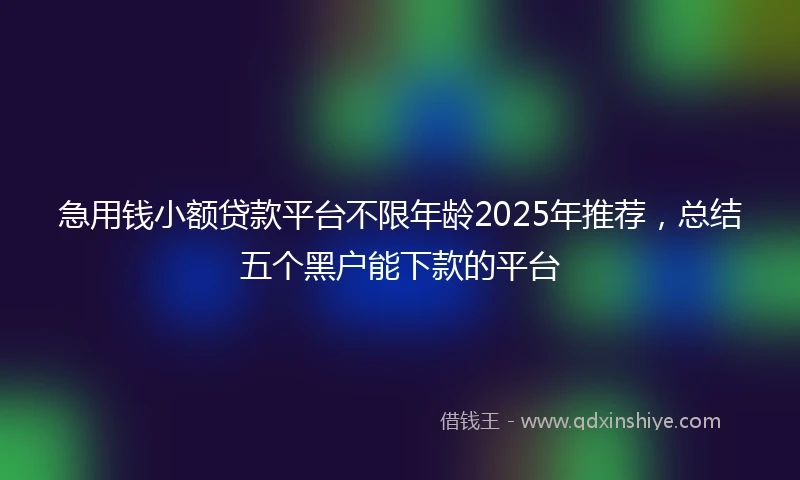 急用钱小额贷款平台不限年龄2025年推荐,总结五个黑户能下款的平台
