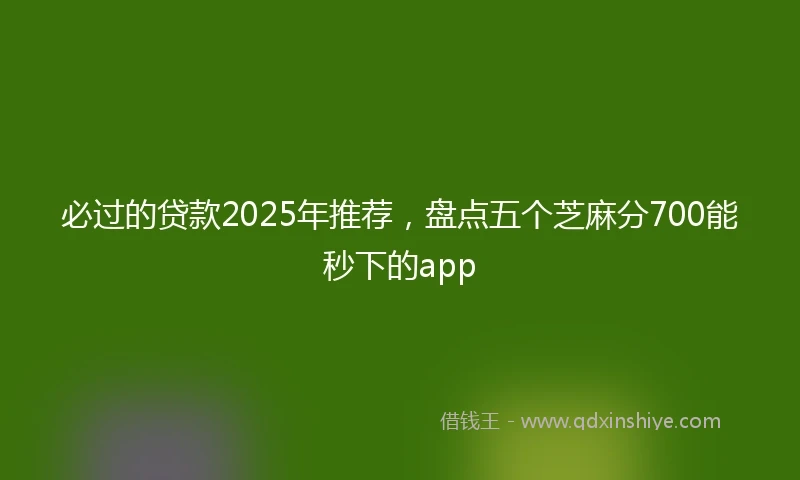 必过的贷款2025年推荐，盘点五个芝麻分700能秒下的app