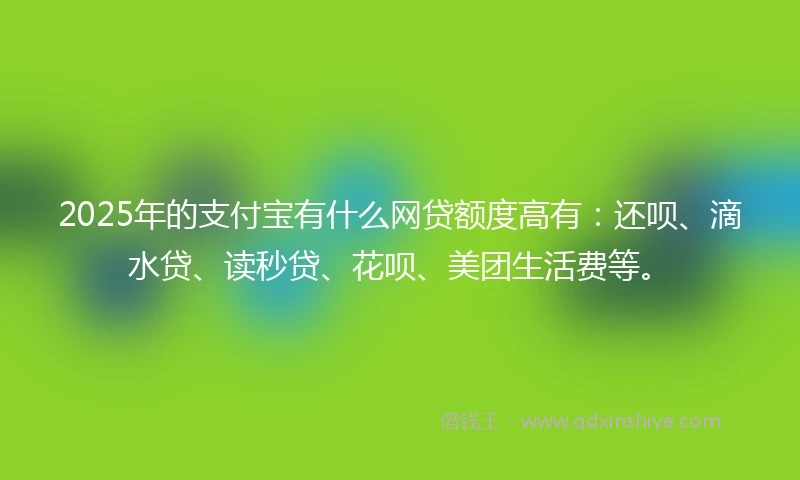 2025年的支付宝有什么网贷额度高有：还呗、滴水贷、读秒贷、花呗、美团生活费等。