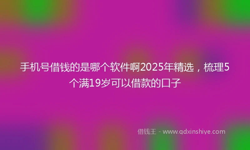 手机号借钱的是哪个软件啊2025年精选，梳理5个满19岁可以借款的口子
