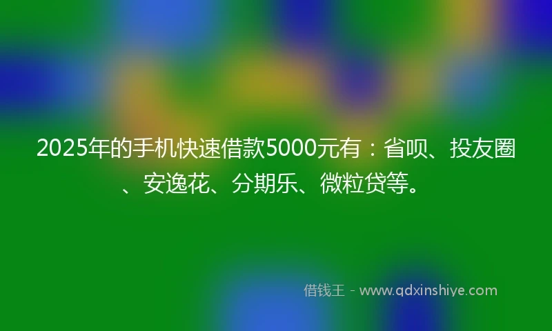 2025年的手机快速借款5000元有：省呗、投友圈、安逸花、分期乐、微粒贷等。