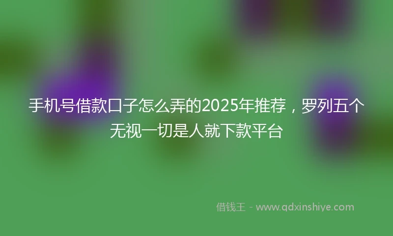 手机号借款口子怎么弄的2025年推荐，罗列五个无视一切是人就下款平台