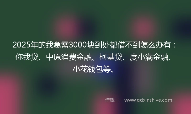 2025年的我急需3000块到处都借不到怎么办有：你我贷、中原消费金融、柯基贷、度小满金融、小花钱包等。