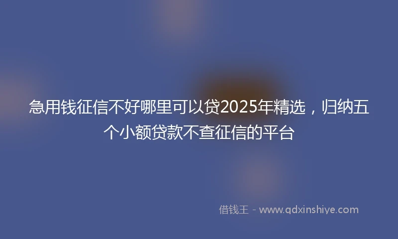 急用钱征信不好哪里可以贷2025年精选，归纳五个小额贷款不查征信的平台