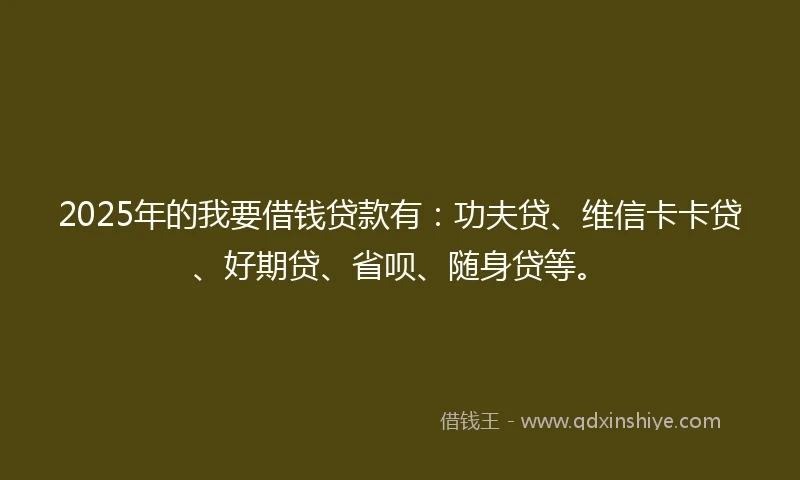 2025年的我要借钱贷款有：功夫贷、维信卡卡贷、好期贷、省呗、随身贷等。