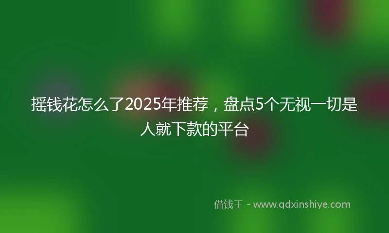 摇钱花怎么了2025年推荐，盘点5个无视一切是人就下款的平台
