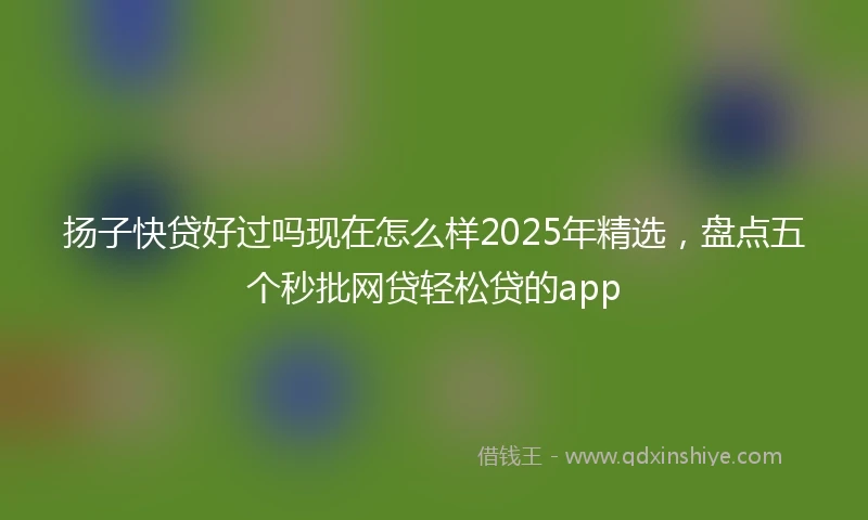 扬子快贷好过吗现在怎么样2025年精选，盘点五个秒批网贷轻松贷的app