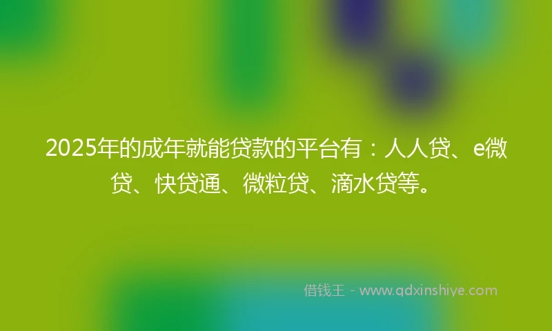 2025年的成年就能贷款的平台有：人人贷、e微贷、快贷通、微粒贷、滴水贷等。