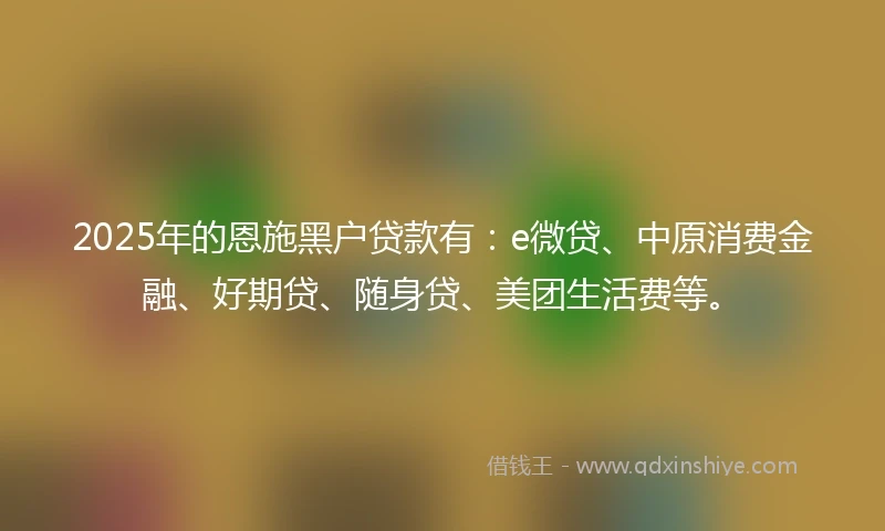 2025年的恩施黑户贷款有：e微贷、中原消费金融、好期贷、随身贷、美团生活费等。