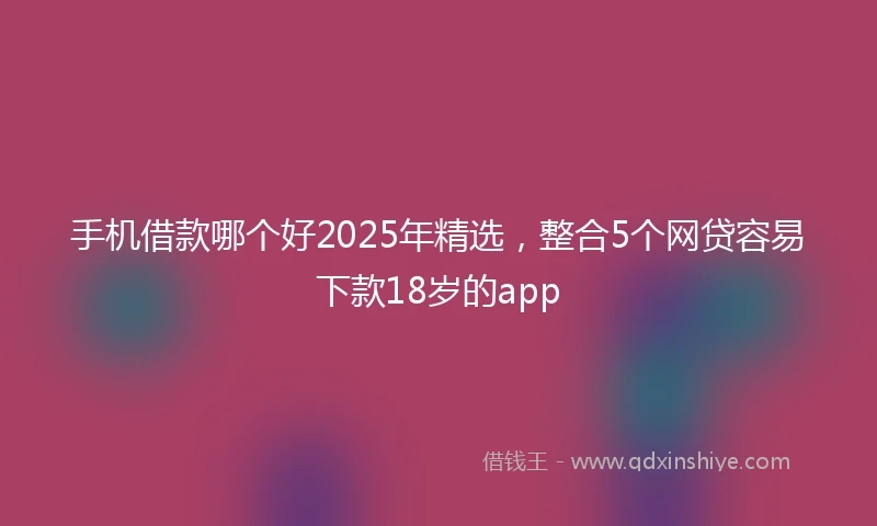 手机借款哪个好2025年精选，整合5个网贷容易下款18岁的app