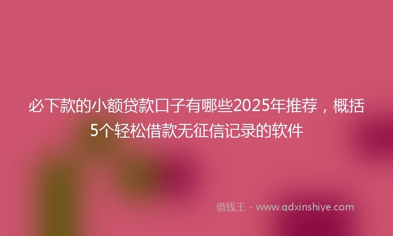 必下款的小额贷款口子有哪些2025年推荐，概括5个轻松借款无征信记录的软件