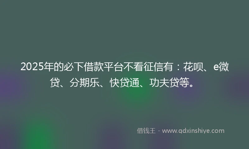 2025年的必下借款平台不看征信有：花呗、e微贷、分期乐、快贷通、功夫贷等。