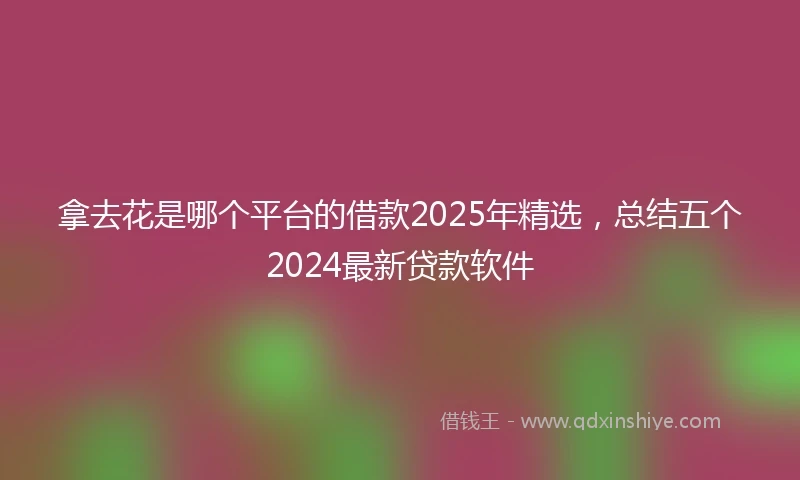 拿去花是哪个平台的借款2025年精选，总结五个2024最新贷款软件