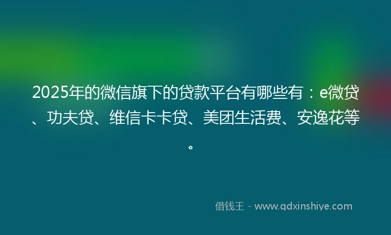 2025年的微信旗下的贷款平台有哪些有：e微贷、功夫贷、维信卡卡贷、美团生活费、安逸花等。