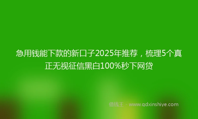 急用钱能下款的新口子2025年推荐，梳理5个真正无视征信黑白100%秒下网贷