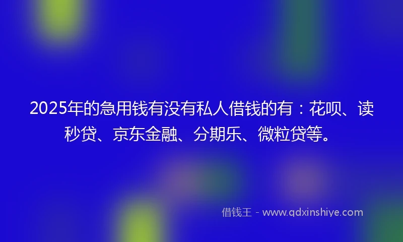 2025年的急用钱有没有私人借钱的有：花呗、读秒贷、京东金融、分期乐、微粒贷等。