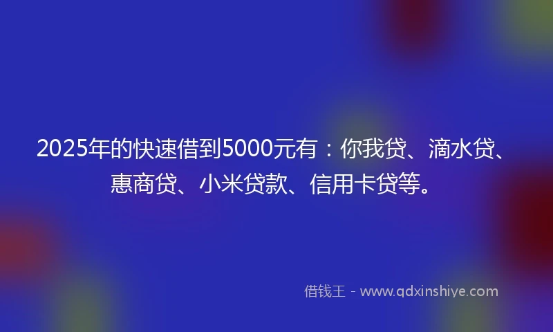 2025年的快速借到5000元有：你我贷、滴水贷、惠商贷、小米贷款、信用卡贷等。