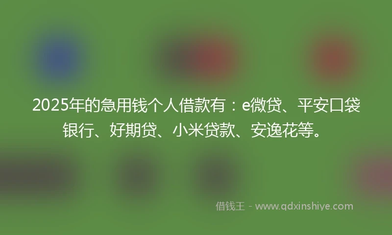 2025年的急用钱个人借款有：e微贷、平安口袋银行、好期贷、小米贷款、安逸花等。