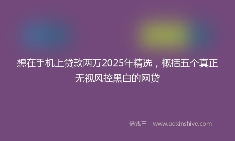 想在手机上贷款两万2025年精选，概括五个真正无视风控黑白的网贷