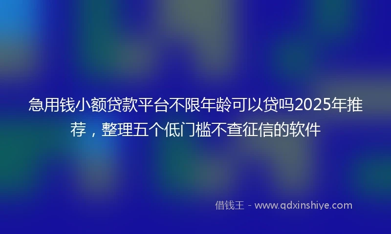 急用钱小额贷款平台不限年龄可以贷吗2025年推荐，整理五个低门槛不查征信的软件