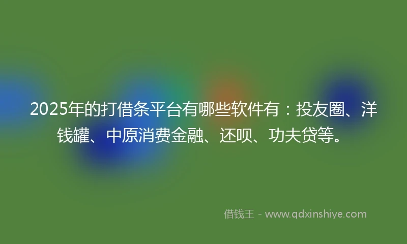 2025年的打借条平台有哪些软件有：投友圈、洋钱罐、中原消费金融、还呗、功夫贷等。
