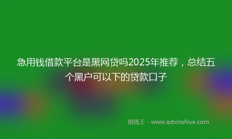 急用钱借款平台是黑网贷吗2025年推荐，总结五个黑户可以下的贷款口子