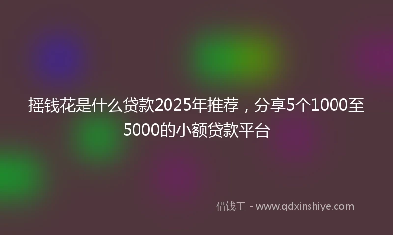 摇钱花是什么贷款2025年推荐，分享5个1000至5000的小额贷款平台