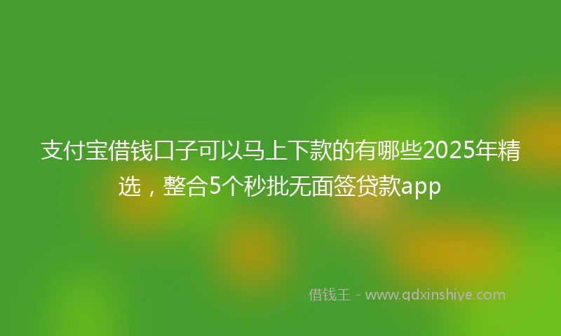 支付宝借钱口子可以马上下款的有哪些2025年精选，整合5个秒批无面签贷款app