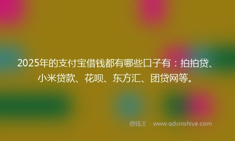 2025年的支付宝借钱都有哪些口子有：拍拍贷、小米贷款、花呗、东方汇、团贷网等。