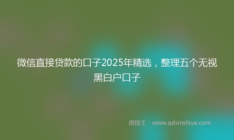 微信直接贷款的口子2025年精选，整理五个无视黑白户口子