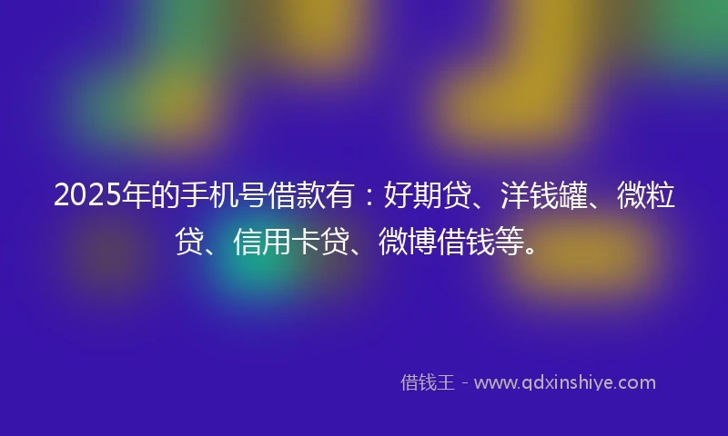 2025年的手机号借款有：好期贷、洋钱罐、微粒贷、信用卡贷、微博借钱等。