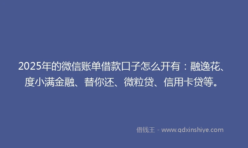 2025年的微信账单借款口子怎么开有：融逸花、度小满金融、替你还、微粒贷、信用卡贷等。