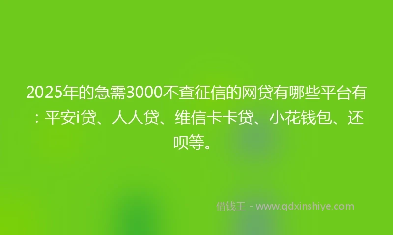 2025年的急需3000不查征信的网贷有哪些平台有：平安i贷、人人贷、维信卡卡贷、小花钱包、还呗等。