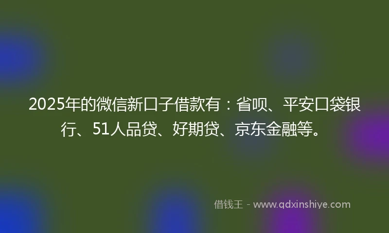 2025年的微信新口子借款有：省呗、平安口袋银行、51人品贷、好期贷、京东金融等。