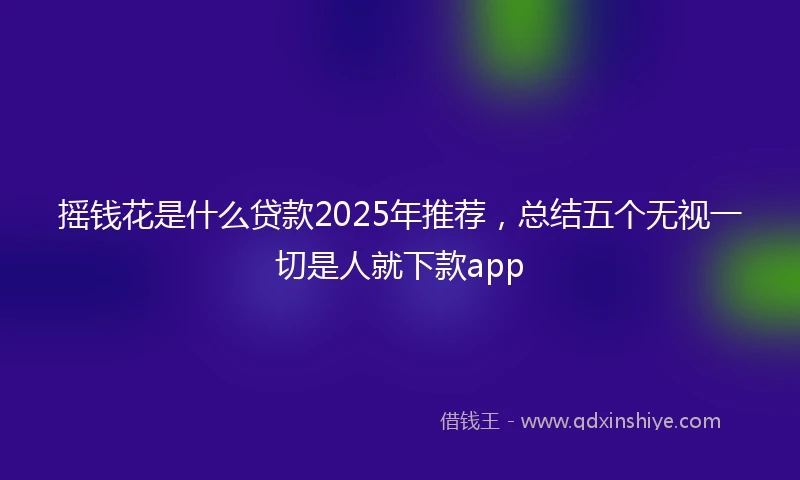 摇钱花是什么贷款2025年推荐，总结五个无视一切是人就下款app