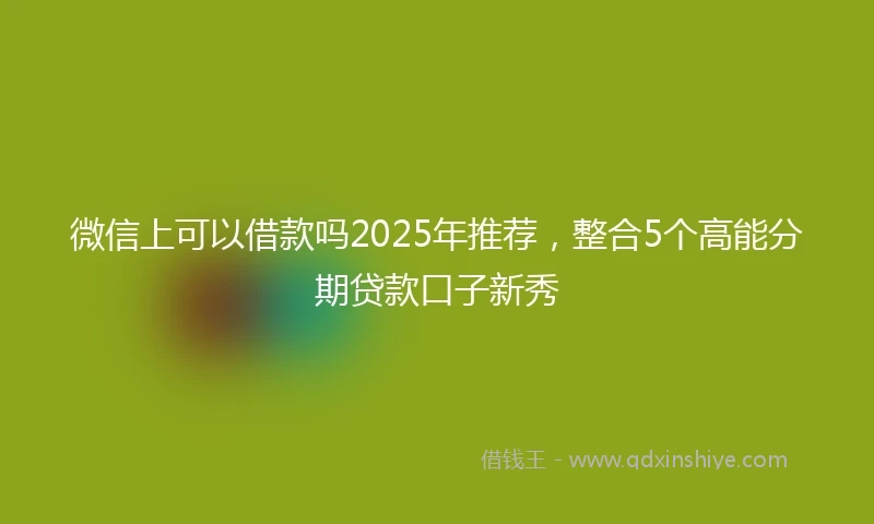 微信上可以借款吗2025年推荐，整合5个高能分期贷款口子新秀