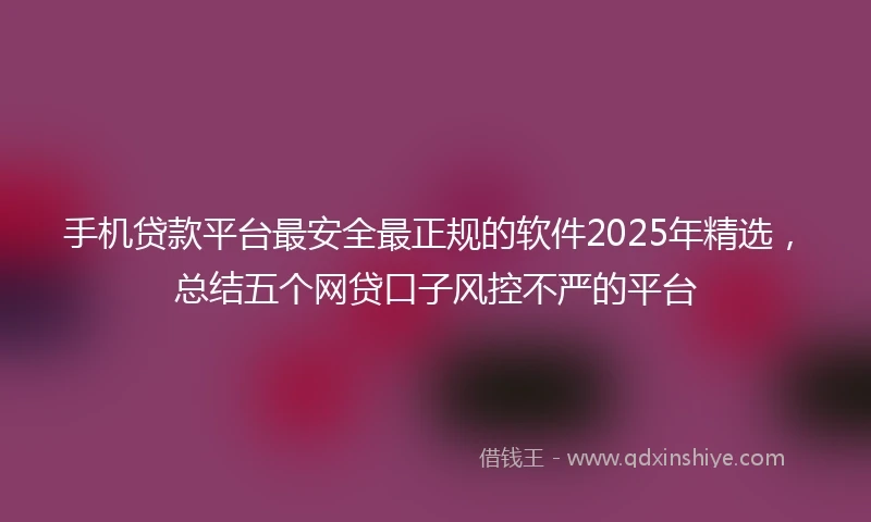 手机贷款平台最安全最正规的软件2025年精选，总结五个网贷口子风控不严的平台