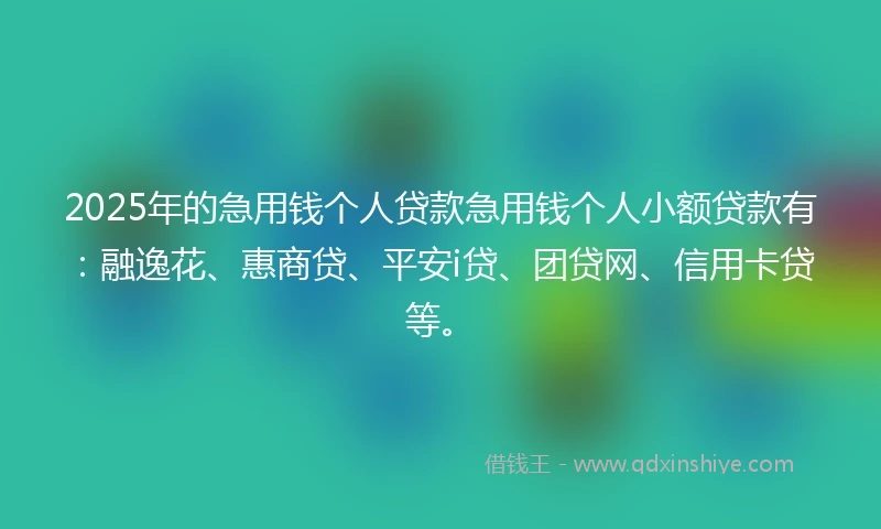 2025年的急用钱个人贷款急用钱个人小额贷款有：融逸花、惠商贷、平安i贷、团贷网、信用卡贷等。