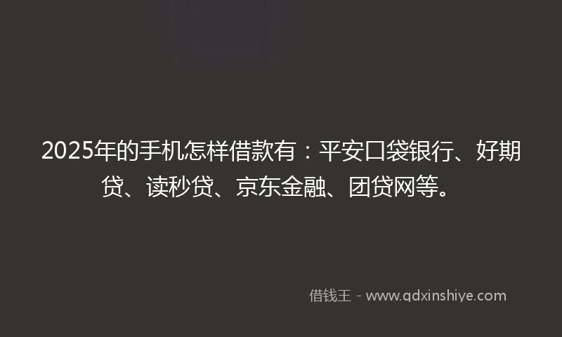 2025年的手机怎样借款有：平安口袋银行、好期贷、读秒贷、京东金融、团贷网等。