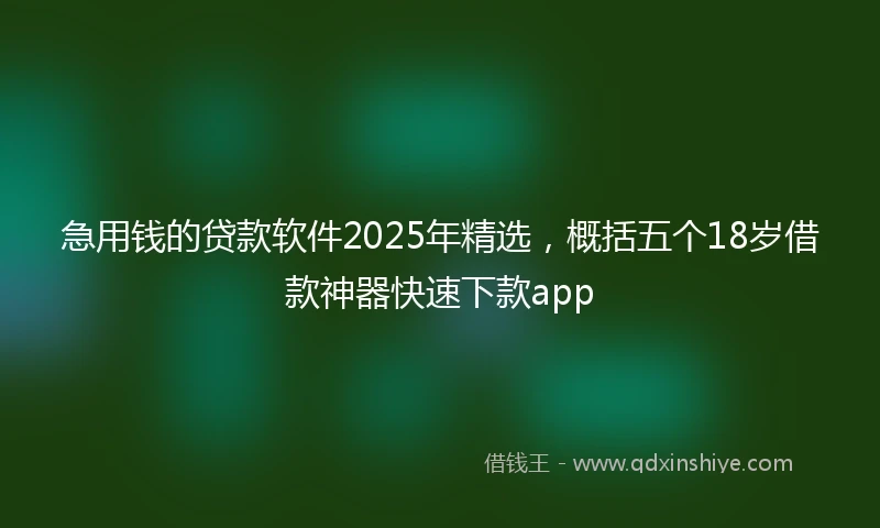 急用钱的贷款软件2025年精选，概括五个18岁借款神器快速下款app