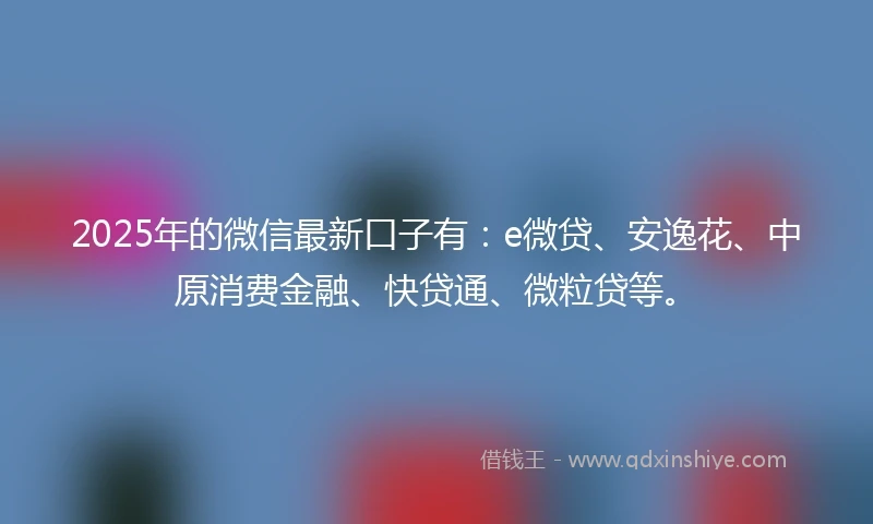 2025年的微信最新口子有：e微贷、安逸花、中原消费金融、快贷通、微粒贷等。