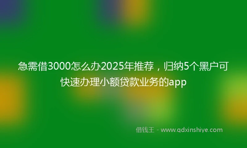 急需借3000怎么办2025年推荐，归纳5个黑户可快速办理小额贷款业务的app