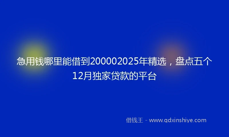 急用钱哪里能借到200002025年精选，盘点五个12月独家贷款的平台
